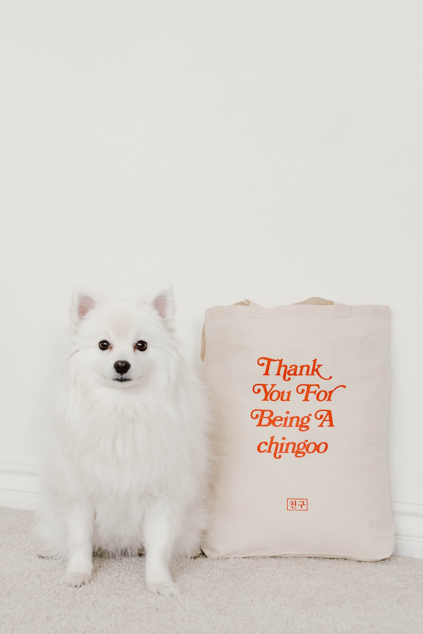TY Tote (Natural)